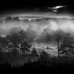 Zicht vanuit de brandtoren, Kalmthoutse Heide © West-Vlaamse landschapsfotograaf Glenn Vanderbeke