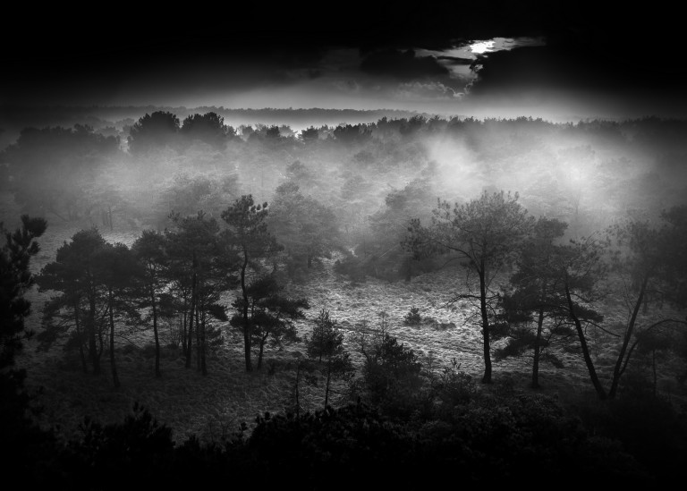Zicht vanuit de brandtoren, Kalmthoutse Heide © West-Vlaamse landschapsfotograaf Glenn Vanderbeke