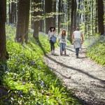 glenn vanderbeke, landscahpsfotografie, landschapsfotograaf, Halle, Hallerbos, wilde hyacinten, boshyacinten, fotografie hallerbos, foto uitstap, foto dagtrip, fotografische dagtrip, paarse bloemetjes fotograferen, boshyacinten locatie, boshyacinten fotograferen, wandelen tussen de boshyacinten, wandelen hallerbos, wandeling hallerbos, het paarse hallerbos