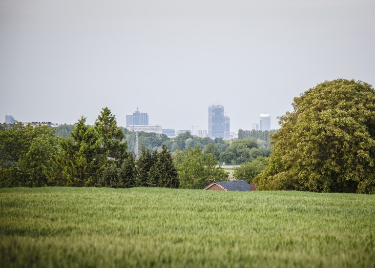 glenn vanderbeke, ford focus, landschapsfotograaf, landschapsfotografie, landschapsfotograaf west-vlaanderen, sint-pieters-leeuw
