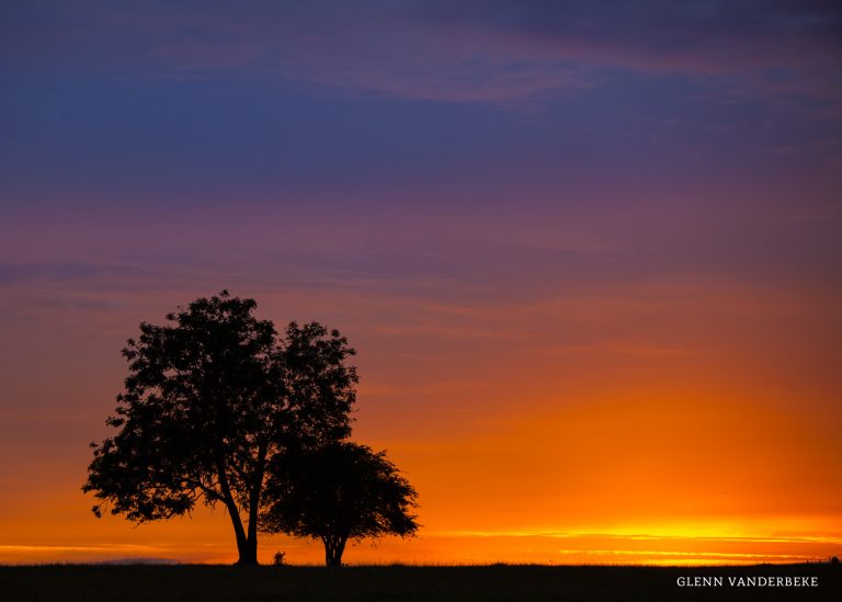 glenn vanderbeke, glenn vanderbeke fotografie, glenn vanderbeke belgisch landschapsfotograaf, landschapsfotograaf, landschapsfotografie glenn vanderbeke, landscape photographer glenn vanderbeke, fine art photographer Glenn Vanderbeke, Belgische landschapsfotograaf, landschapsfotografie west-vlaanderen, west vlaamse landschapsfotograaf, België, Dourbes