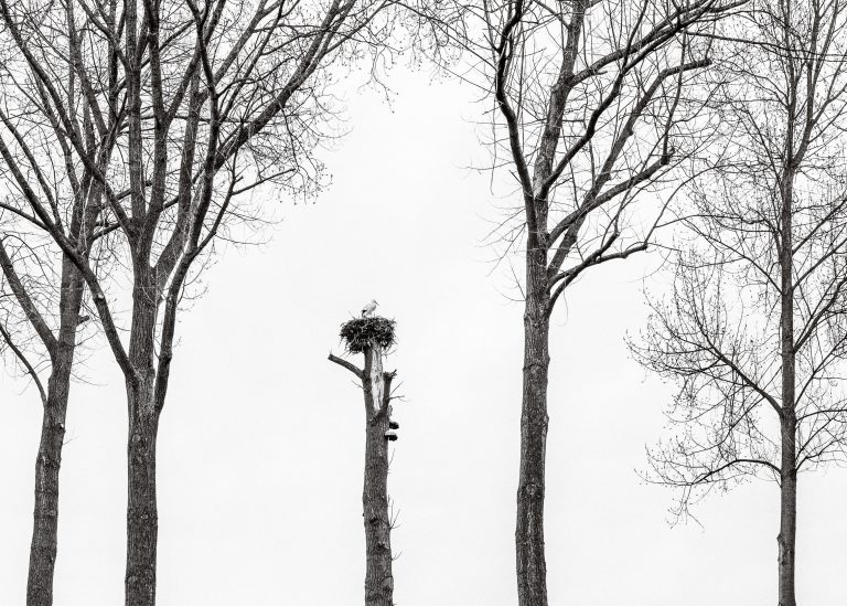Tokyo International Foto Awards, TIFA, honorable mention, Glenn Vanderbeke, Glenn Vanderbeke landschapsfotograaf, landschapsfotografie west-vlaanderen
