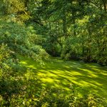 glenn vanderbeke, landschapsfotografie, landschapsfotograaf, fotografie molsbroek, foto uitstap, foto dagtrip, fotografische dagtrip, west-vlaamse fotografen, west-vlaamse fotograaf, lokeren, molsbroek, natuurreservaat, wandelen in Lokeren, natuurreservaat Lokeren, Natuur in Lokeren, locatie Molsbroek