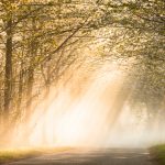 glenn vanderbeke, landschapsfotografie, landschapsfotograaf, foto uitstap, foto dagtrip, fotografische dagtrip, west-vlaamse fotografen, west-vlaamse fotograaf, Wijnendale, Torhout, International Photography Awards 2017, International Photography Awards