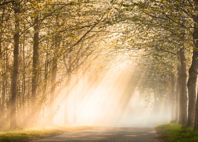 glenn vanderbeke, landschapsfotografie, landschapsfotograaf, foto uitstap, foto dagtrip, fotografische dagtrip, west-vlaamse fotografen, west-vlaamse fotograaf, Wijnendale, Torhout, International Photography Awards 2017, International Photography Awards