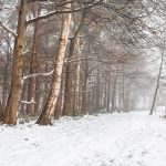 glenn vanderbeke, landschapsfotografie, landschapsfotograaf, foto uitstap, foto dagtrip, fotografische dagtrip, west-vlaamse fotografen, west-vlaamse fotograaf, Foto uitstap, Vlaanderen, West-Vlaanderen, Torhout, Provinciedomein d'Aertrycke