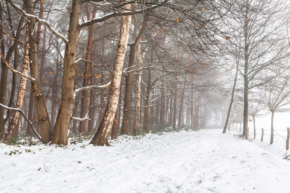 glenn vanderbeke, landschapsfotografie, landschapsfotograaf, foto uitstap, foto dagtrip, fotografische dagtrip, west-vlaamse fotografen, west-vlaamse fotograaf, Foto uitstap, Vlaanderen, West-Vlaanderen, Torhout, Provinciedomein d'Aertrycke