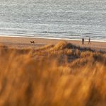 glenn vanderbeke, landschapsfotografie, landschapsfotograaf, foto uitstap, foto dagtrip, fotografische dagtrip, west-vlaamse fotografen, west-vlaamse fotograaf, Foto uitstap, Vlaanderen, West-Vlaanderen, Duinwandeling, duinbeleving, duinwandeling koksijde, foto uitstap Koksijde, wat te doen Koksijde, wat te zien Koksijde, fotografie Koksijde, duinfotografie, Foto's duinen, Fotografie duinen