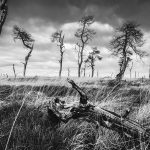 glenn vanderbeke, landschapsfotografie, landschapsfotograaf, foto uitstap, foto dagtrip, fotografische dagtrip, fotografie uitstap, west-vlaamse fotografen, west-vlaamse fotograaf, Wallonië, de Hoge Venen, Hoge Venen, Noir flohay, fototip Noir Flohay, locatie Noir Flohay, fototip hoge venen, noir flohay foto's, hoge venen foto's, hoge venen adres, noir flohay hoge venen, noir flohay wandeling, noir flohay route