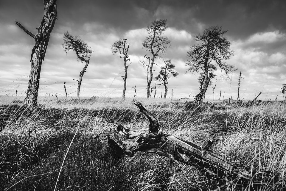 glenn vanderbeke, landschapsfotografie, landschapsfotograaf, foto uitstap, foto dagtrip, fotografische dagtrip, fotografie uitstap, west-vlaamse fotografen, west-vlaamse fotograaf, Wallonië, de Hoge Venen, Hoge Venen, Noir flohay, fototip Noir Flohay, locatie Noir Flohay, fototip hoge venen, noir flohay foto's, hoge venen foto's, hoge venen adres, noir flohay hoge venen, noir flohay wandeling, noir flohay route