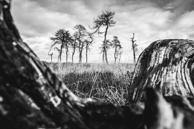 glenn vanderbeke, landschapsfotografie, landschapsfotograaf, foto uitstap, foto dagtrip, fotografische dagtrip, fotografie uitstap, west-vlaamse fotografen, west-vlaamse fotograaf, Wallonië, de Hoge Venen, Hoge Venen, Noir flohay, fototip Noir Flohay, locatie Noir Flohay, fototip hoge venen, noir flohay foto's, hoge venen foto's, hoge venen adres, noir flohay hoge venen, noir flohay wandeling, noir flohay route