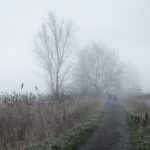 Mist fotografie in de Bourgoyen-Ossemeersen, mistlandschappen fotograferen, mistlandschap fotograferen, mist fotograferen, Wandelen in de Bourgoyen-Ossemeersen, Wandelaars in de Bourgoyen-Ossemeersen, Glenn Vanderbeke