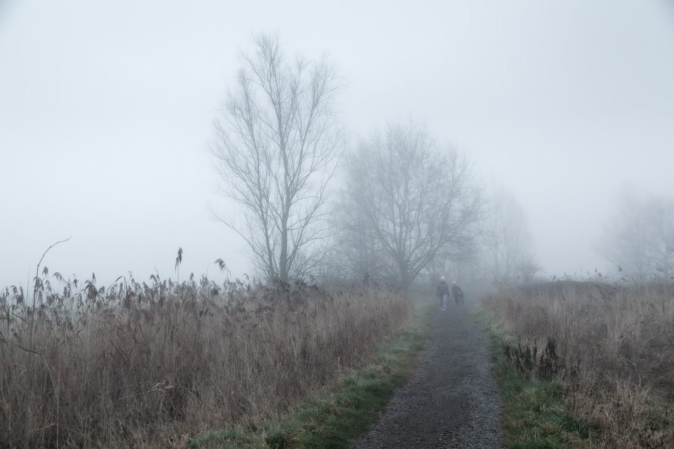 Mist fotografie in de Bourgoyen-Ossemeersen, mistlandschappen fotograferen, mistlandschap fotograferen, mist fotograferen, Wandelen in de Bourgoyen-Ossemeersen, Wandelaars in de Bourgoyen-Ossemeersen, Glenn Vanderbeke