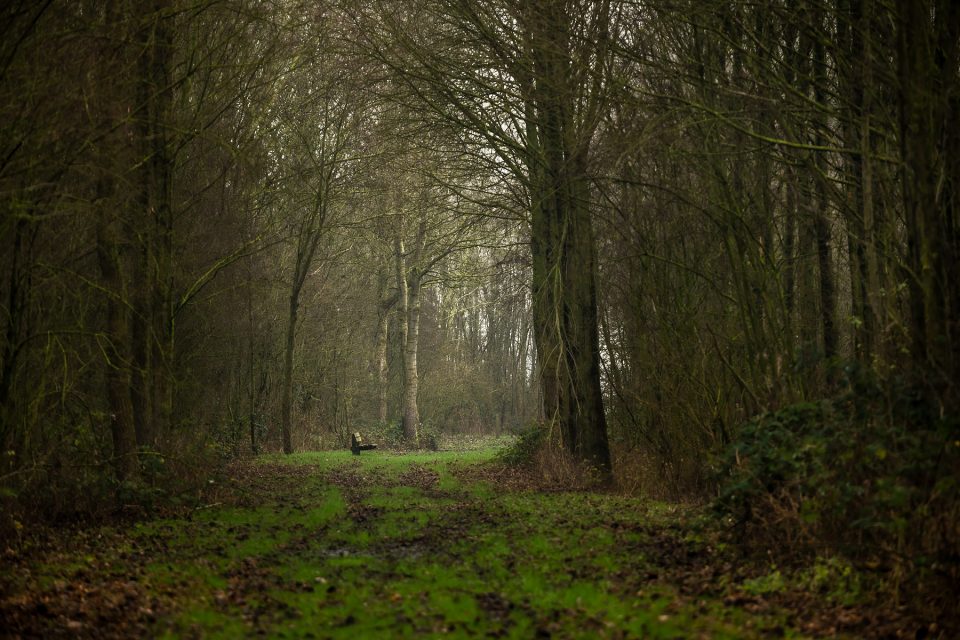 landschapsfotografie, landschapsfotografie in het provinciedomein Zeebos, Kijkhut in het Provinciedomein Zeebos - Blankenberge, West-Vlaams landschapsfotograaf Glenn Vanderbeke, birdwatching in Blankenberge, vogelspotten in Blankenberge