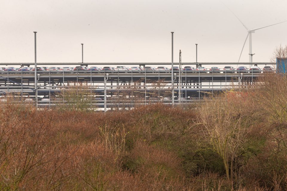 glenn vanderbeke, landschapsfotografie, landschapsfotograaf, foto uitstap, foto dagtrip, fotografische dagtrip, fotografie uitstap, foto-uitstap, west-vlaamse fotografen, west-vlaamse fotograaf, Vlaanderen, wat te doen in Knokke-Heist, wat te doen in Heist, Natuurfotografie in Heist, landschapsfotografie in Heist, landschapsfotografie in Knokke-Heist, De Sashul, groene gordel van Knokke-Heist, De groene gordel van Heist-West, landschapsfotografie Zeebrugge, het krimpende sashul in knokke-heist, het krimpende sashul