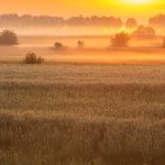 Het prachtige landschap rondom Fintele, Landschapsfotografie in Fintele, Fintele, België, Glenn Vanderbeke