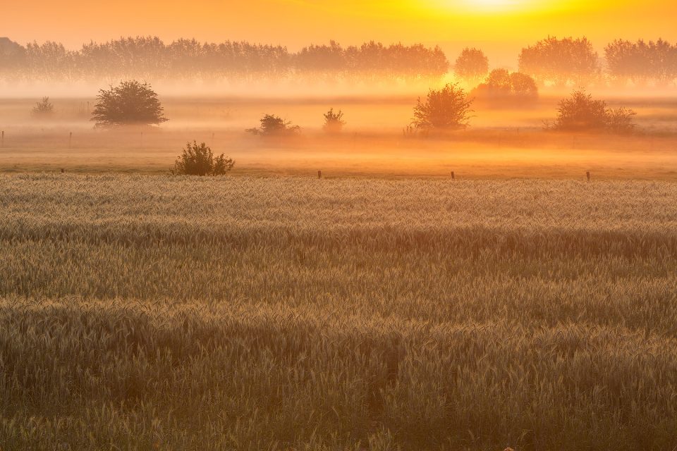 Het prachtige landschap rondom Fintele, Landschapsfotografie in Fintele, Fintele, België, Glenn Vanderbeke