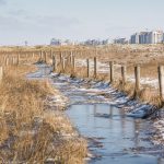 De Baai van Heist in Knokke-Heist, landschapsfotograaf Glenn Vanderbeke, wandelen in Knokke-Heist, natuur in Knokke-Heist, Glenn Vanderbeke, Glenn Vanderbeke landschapsfotograaf