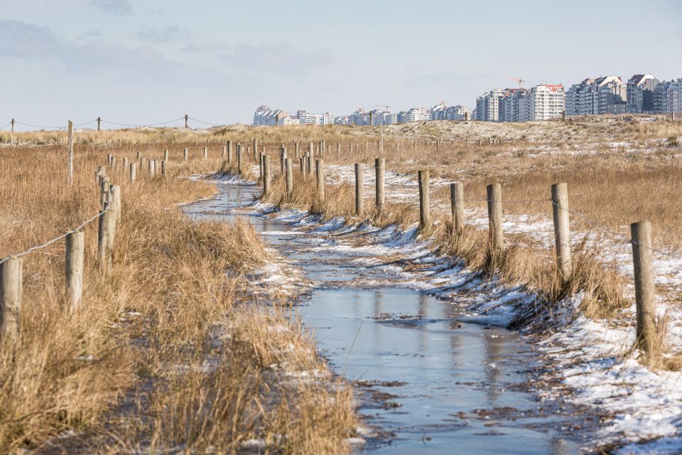 De Baai van Heist in Knokke-Heist, landschapsfotograaf Glenn Vanderbeke, wandelen in Knokke-Heist, natuur in Knokke-Heist, Glenn Vanderbeke, Glenn Vanderbeke landschapsfotograaf