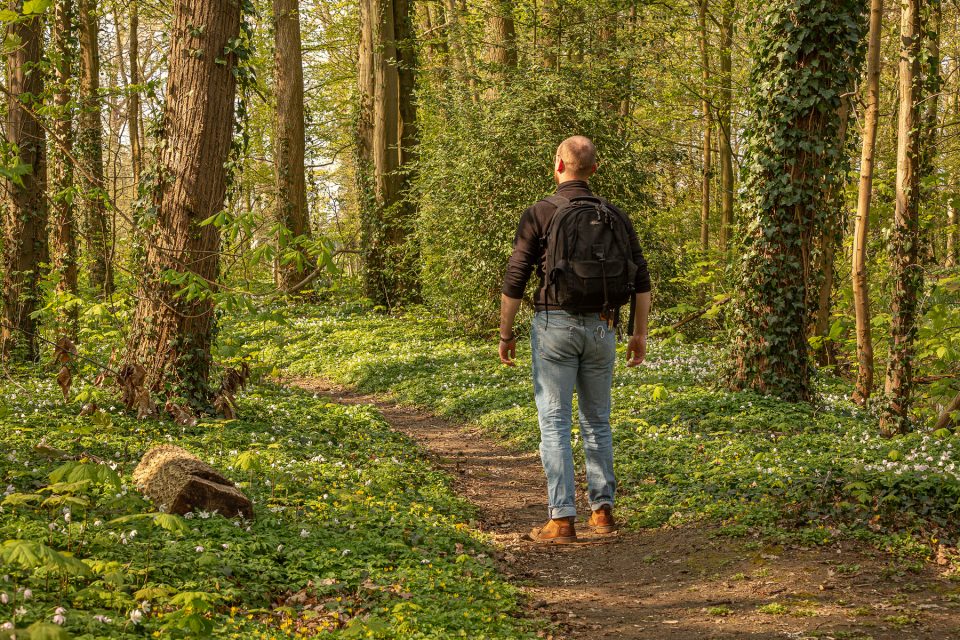 Bosanemonen in West-Vlaanderen, Bosanemonen in het park ter loo, Bosanemonen fotograferen, bosanemonen west-vlaanderen, bosanemoon west-vlaanderen, bosanemonen locatie, bosanemoon locatie, waar bosanemonen fotograferen