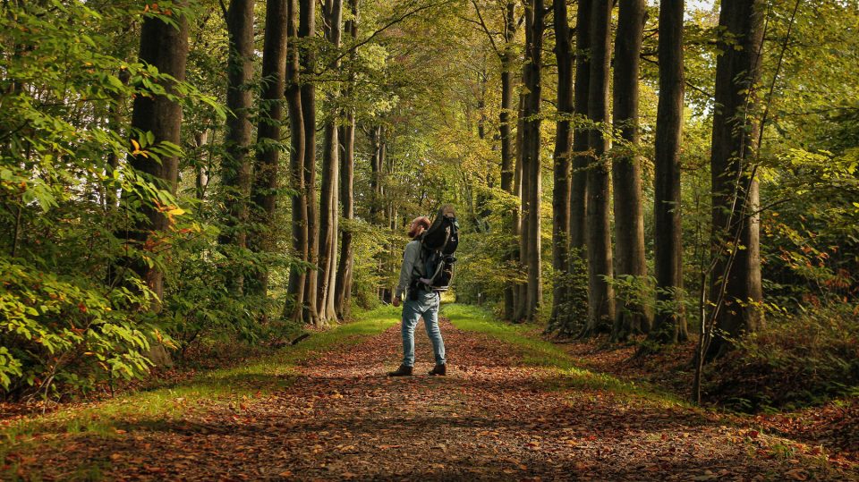 glenn vanderbeke, landschapsfotograaf, landschapsfotografie belgië, landschapsfotografie oostkamp, fotografie oostkamp, fotografie ruddervoorde, domein zorgvliet