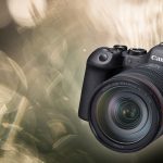 Canon R6 Eerste test, Glenn Vanderbeke, Canon R6 Mark II, Canon R6ii