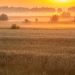 Het prachtige landschap rondom Fintele, Landschapsfotografie in Fintele, Fintele, België, Glenn Vanderbeke