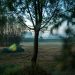 Bivakzone Kleit nabij het drongengoedbos, landschapspark drongengoed, Kleit. Legaal kamperen in België, legaal kamperen in Oost-Vlaanderen, West-Vlaamse landschapsfotograaf Glenn Vanderbeke