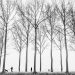 glenn vanderbeke, glenn vanderbeke landschapsfotograaf, landschapsfotografie, landschapsfotograaf west-vlaanderen, damme, fine art photography, fine art glenn vanderbeke, glenn vanderbeke fotografie, glenn vanderbeke blog