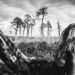 glenn vanderbeke, landschapsfotografie, landschapsfotograaf, foto uitstap, foto dagtrip, fotografische dagtrip, fotografie uitstap, west-vlaamse fotografen, west-vlaamse fotograaf, Wallonië, de Hoge Venen, Hoge Venen, Noir flohay, fototip Noir Flohay, locatie Noir Flohay, fototip hoge venen, noir flohay foto's, hoge venen foto's, hoge venen adres, noir flohay hoge venen, noir flohay wandeling, noir flohay route